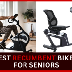 Best Recumbent Bikes For Seniors