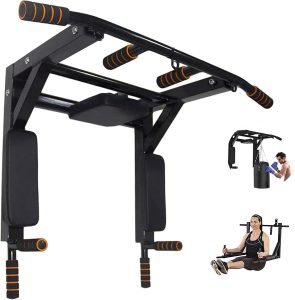 BDL Wall Mounted Pull Up Bar