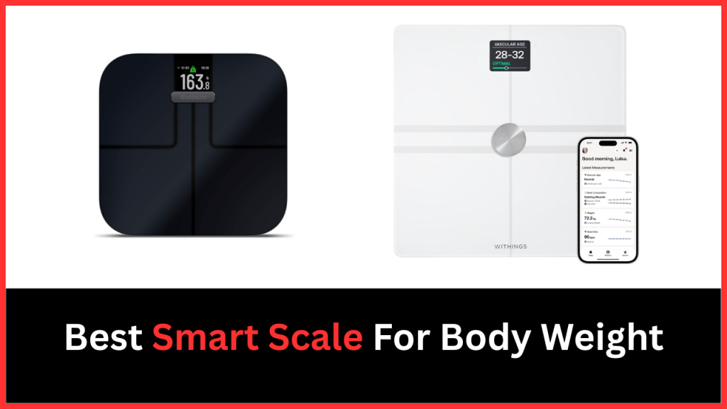 Best Smart Scale For Body Weight