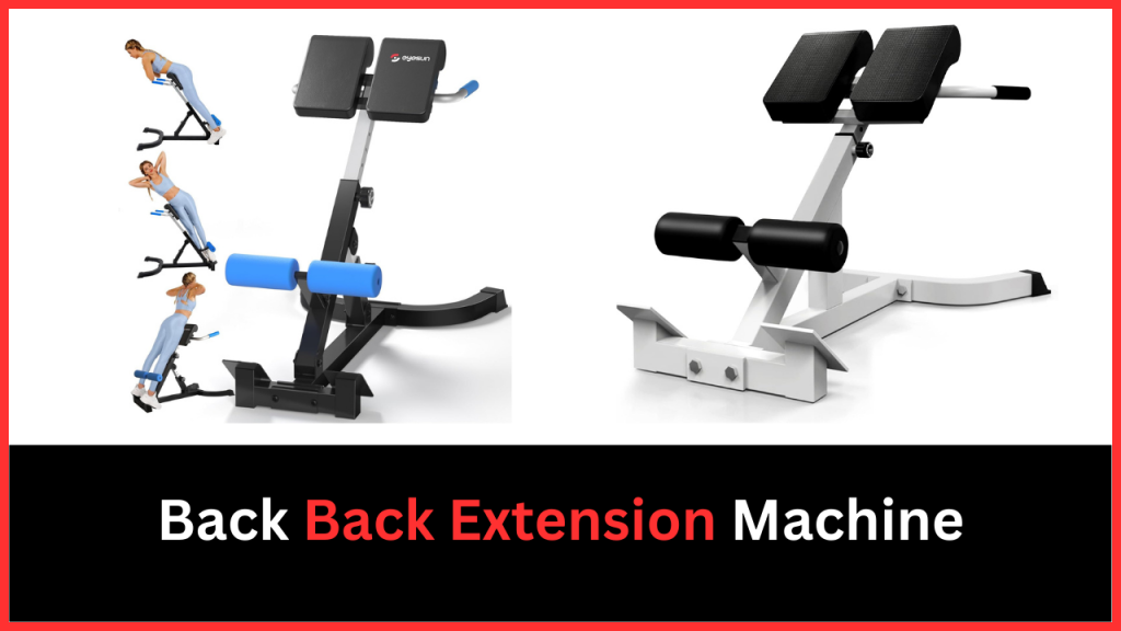 best back extension machine