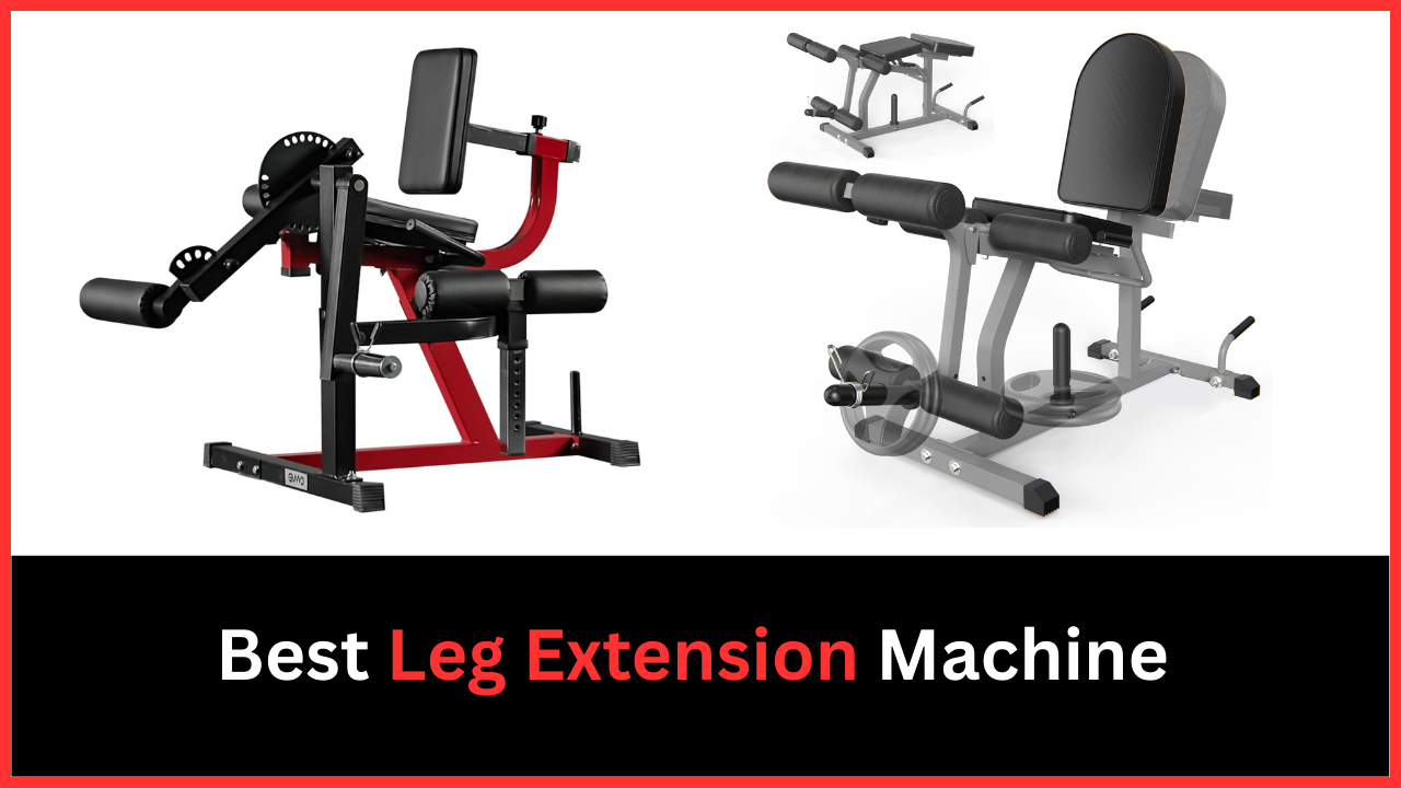 Best Leg Extension Machine