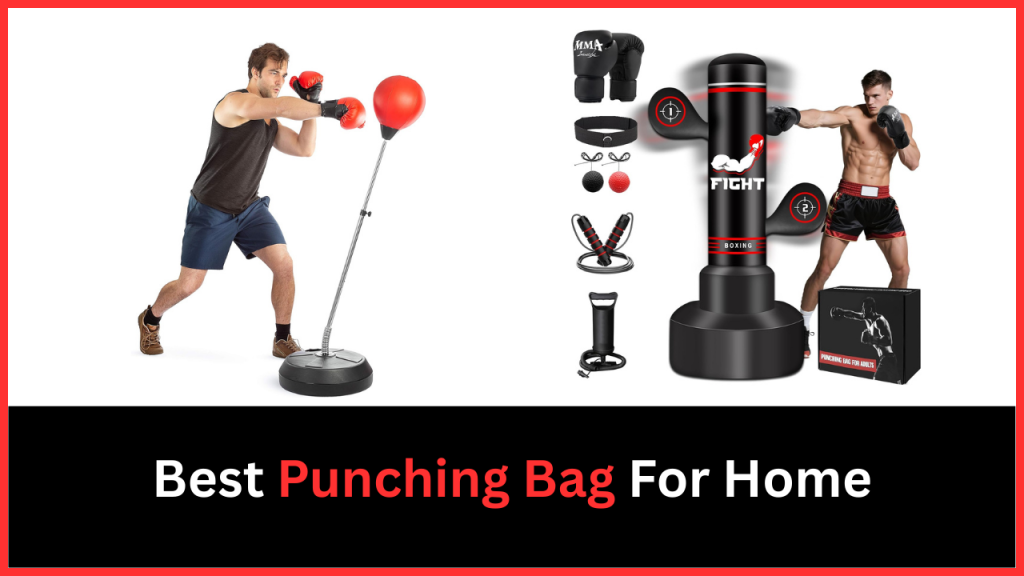 Best Punching Bag For Home