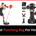 Best Punching Bag For Home