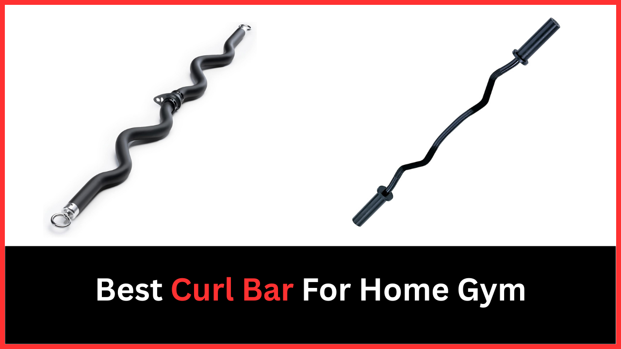 Best Curl Bar For Home Gym