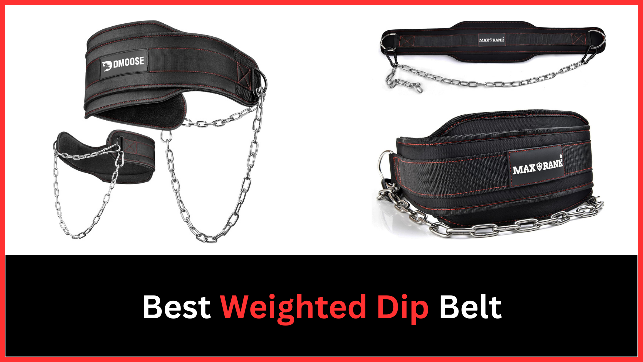Best Weighted Dip Belt